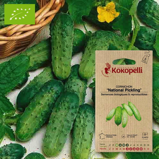 Cornichon national pickling- graines bio à semer