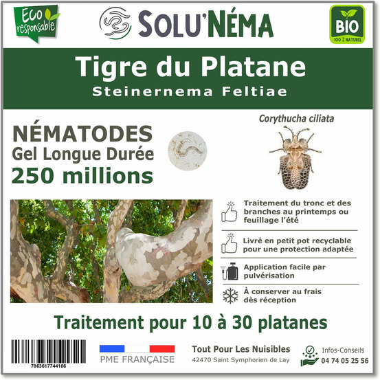 Solunéma - Nématodes contre le Tigre du Platane - Steinernema Feltiae (SF) -250 millions