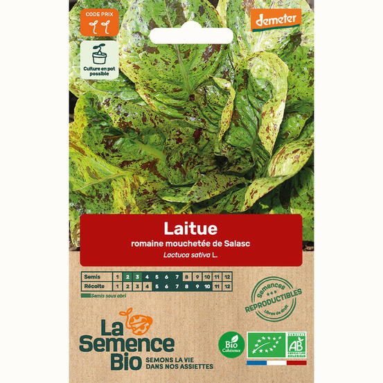 Laitue romaine mouchetée de salasc - graines bio