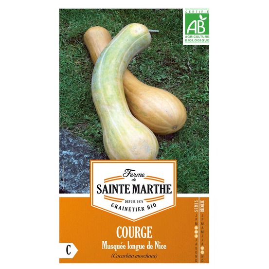 Courge musquée 'longue de nice' le sachet de 15 graines environ (1,5g)