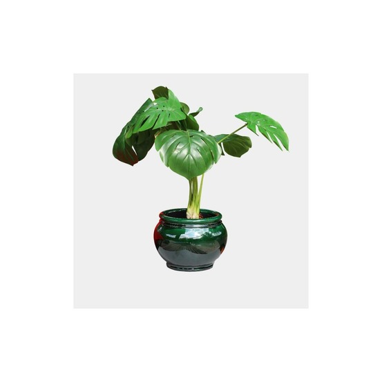 Pot bouton de rose jade d19 h16