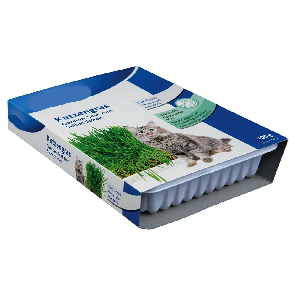 Herbe à chat, barquette de 100g