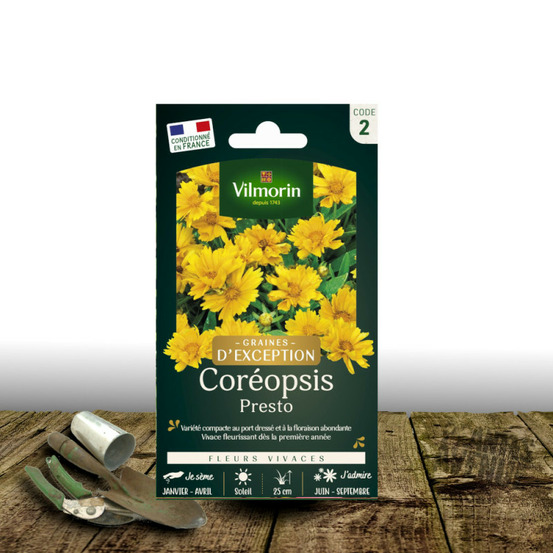 Graines de coreopsis presto - vilmorin sachet