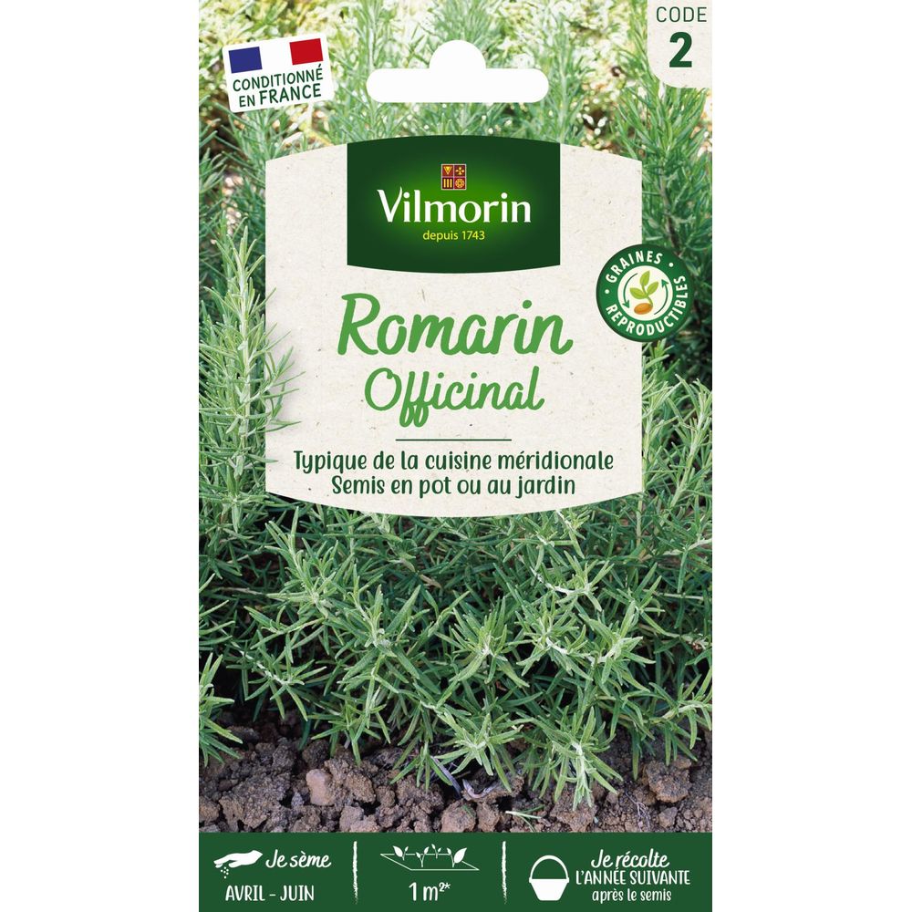 Romarin officinal