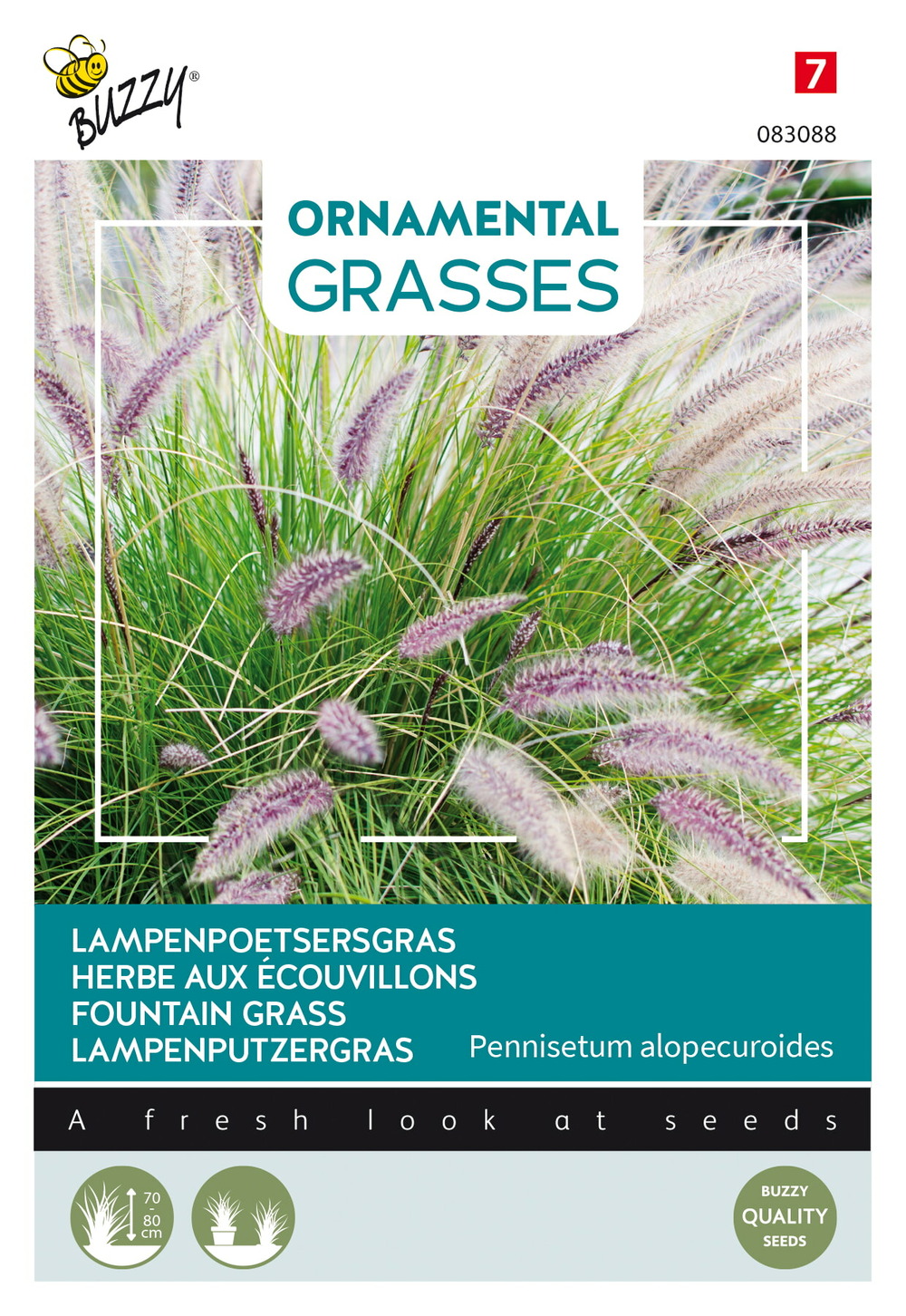 Buzzy ornamental grasses, herbe aux écouvillons - ca. 0,1 gr