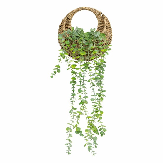 Eucalyptus à suspendre avec pot naturel - h. 70 cm
