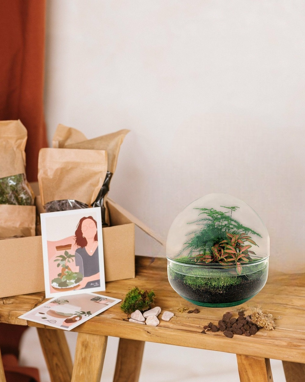 Kit terrarium diy - dome asparagus/fittonia rouge - sans outil