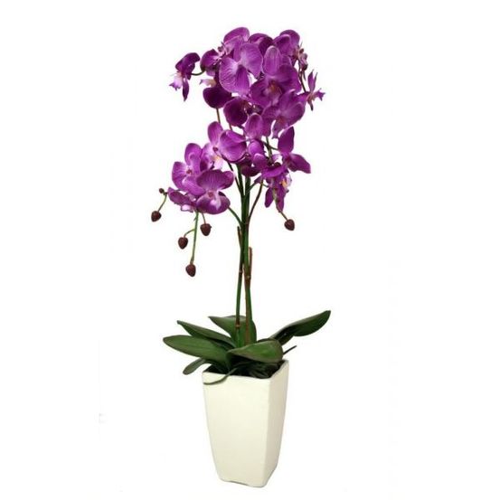 Orchidée fuchsia en pot blanc fuchsia