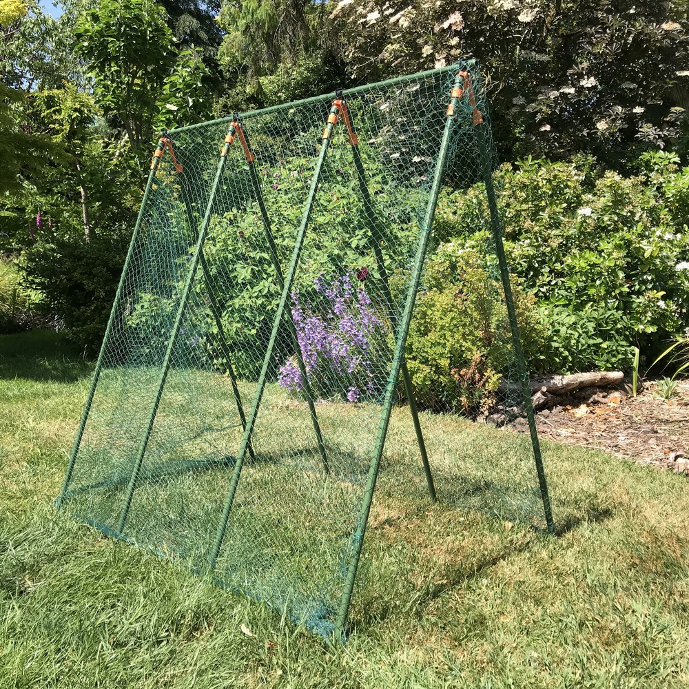 GardenSkill Treillis pour Petit Pois, Tomates - Support de Plantes Grimpantes pour Jardin et Serre - Cadre Tuteur Potager 100x125cm