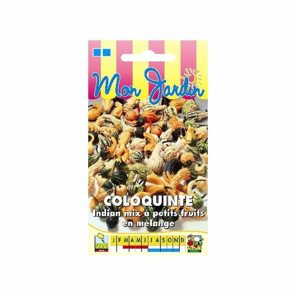 Coloquinte Indian Mix petits fruits