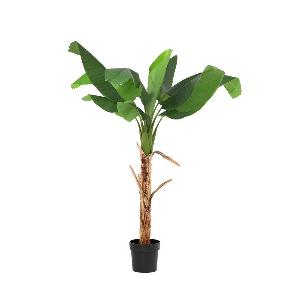 Bananier musa - 150cm - ø21cm - plante artificielle