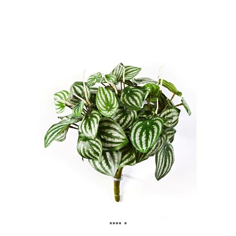 Peperomia artificiel vert blanc 30 cm 52 feuilles en piquet