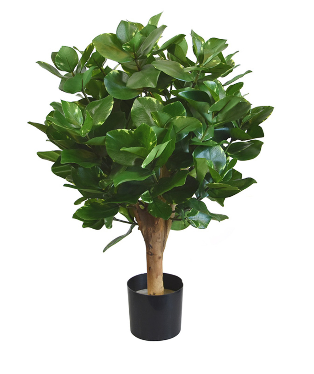 Clusia boule plante artificielle de 55 cm