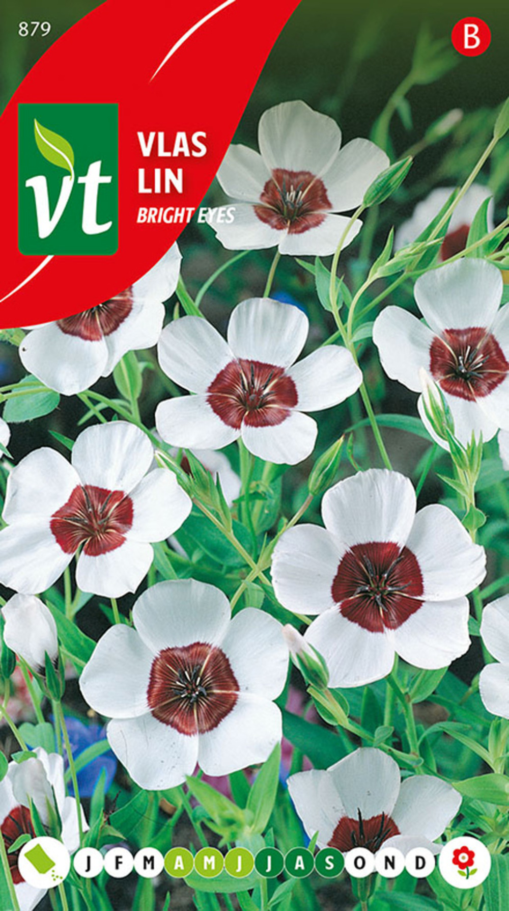 Lin bright eyes - ca. 1 gr (livraison gratuite)