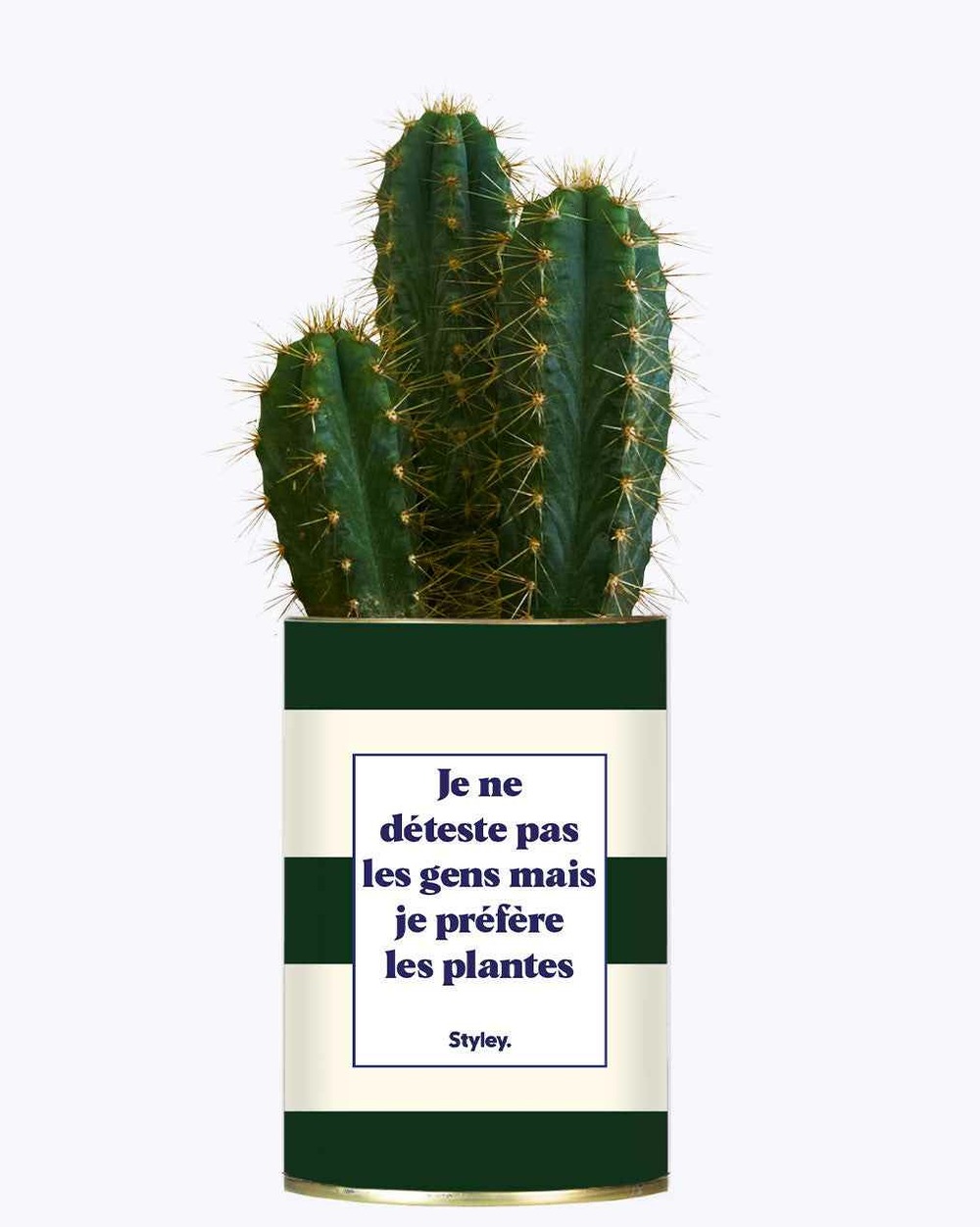 Plante facile à entretenir - je ne déteste pas les gens mais je préfère les plantes - cactus