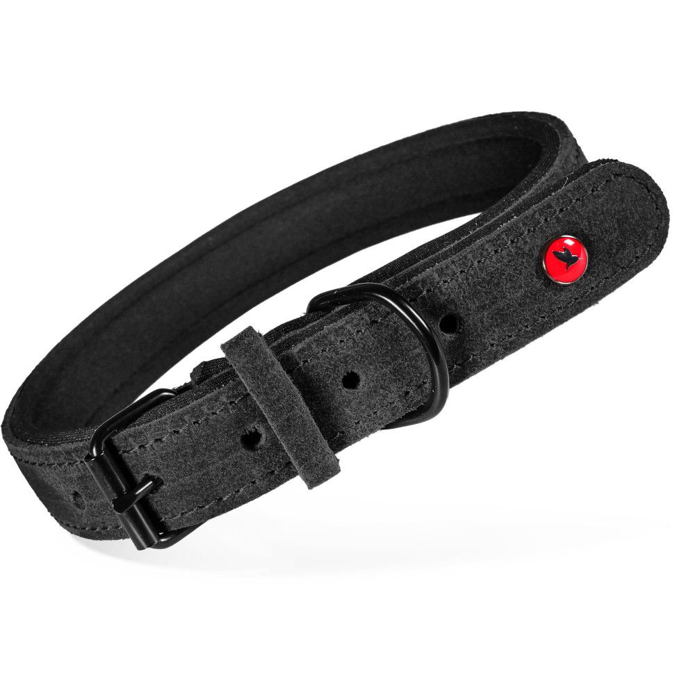Collier pour chien en cuir huilé doublé néoprène, réglable 23-30 cm, sangle