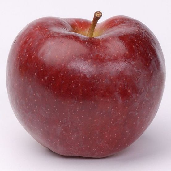 Pommier starking pot de 10l - gobelet 2 ans - 120/150 cm