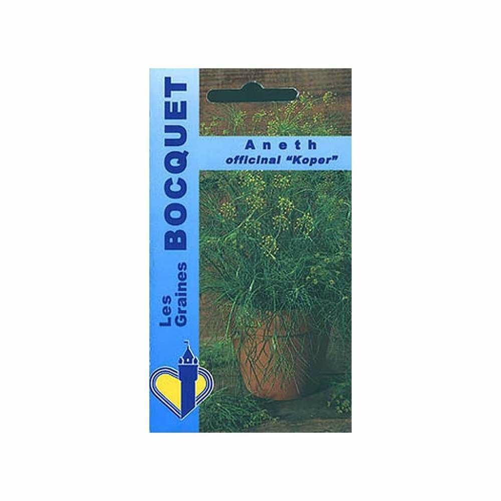 Aneth officinal