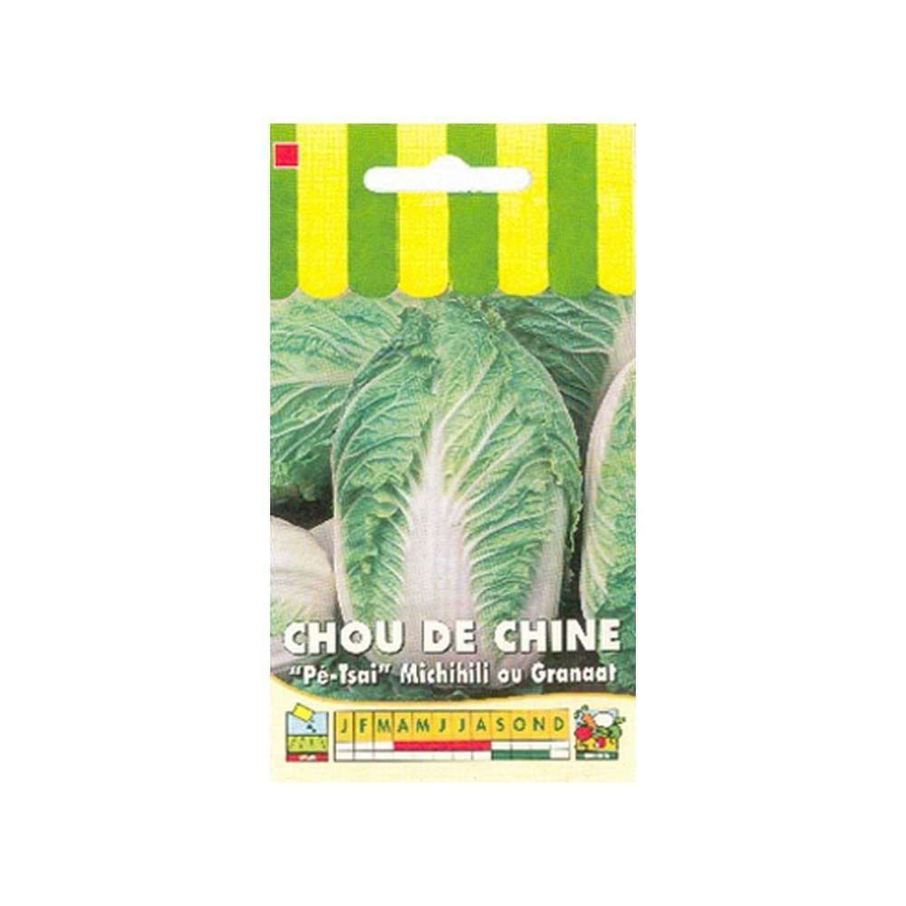 Chou de Chine Michihili ou Granaat