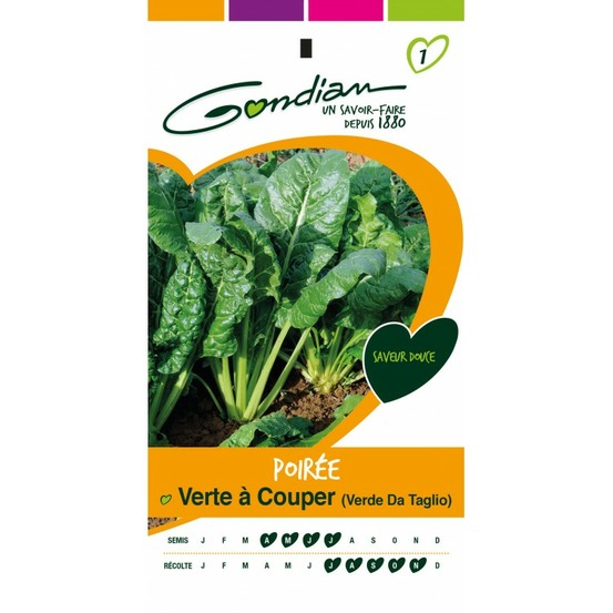 Poirée verte a couper