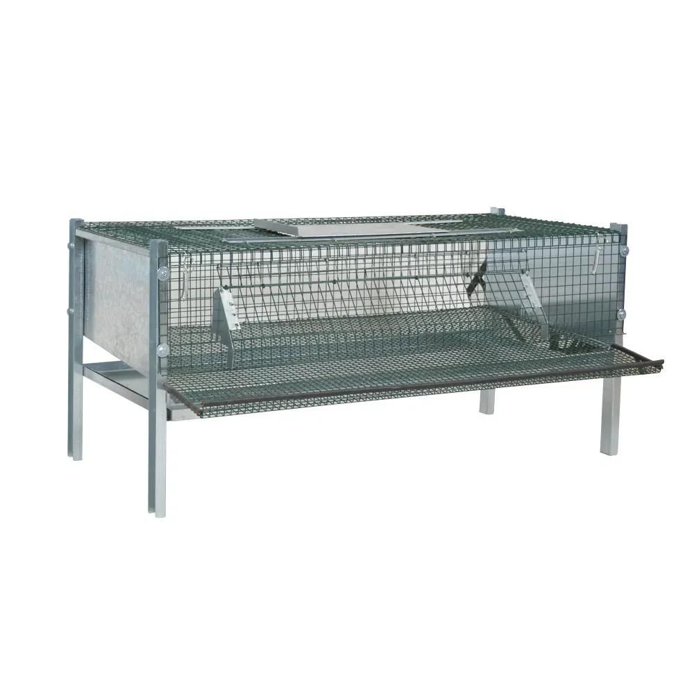 Cage en maille galvanisée pour cailles pondeuses (mini)