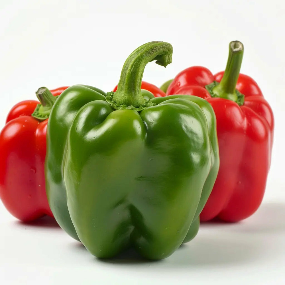 50 graines de poivron california wonder - semisauvage permaculture