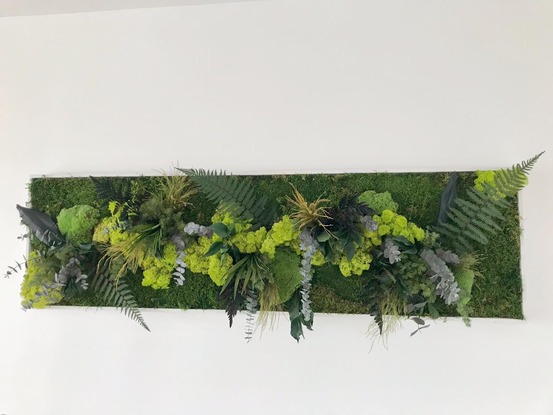 Tableau végétal stabilisé ji irui - tableau stabilisé - décoration d'intérieur - 140*40 cm