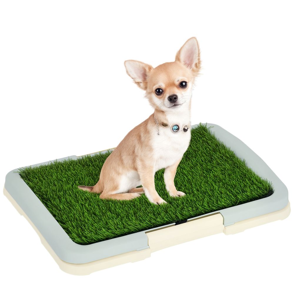 Toilette litière plastique pour petits chiens tapis gazon artificiel 46x34x5cm vert - comfortxl outdoor living
