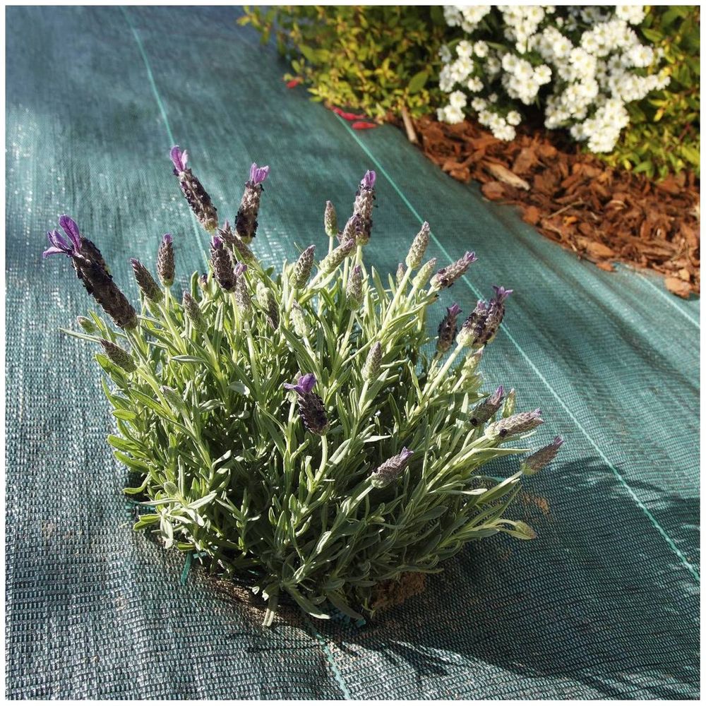 Toile de paillage tissée 90 g / m² 1.05m x 100m
