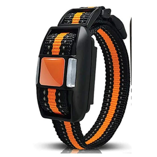 Collier de dressage supplémentaire - 500m - ip67 - rechargeable