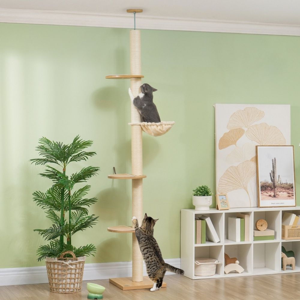 Arbre à chat plafonnier bois sisal hauteur réglable 230-250cm chêne crème - comfortxl pet living