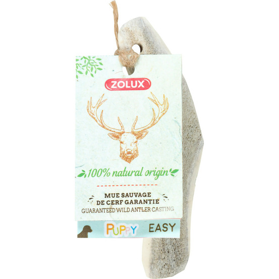 Bois de cerf biseauté xxs friandise à mâcher pour chiot