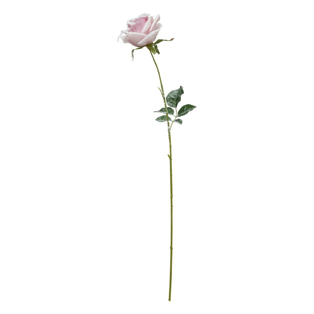 Branche rose rose enneigée h62