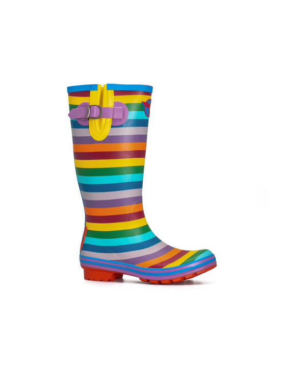 Botte rainbow pointure 38 - rouchette