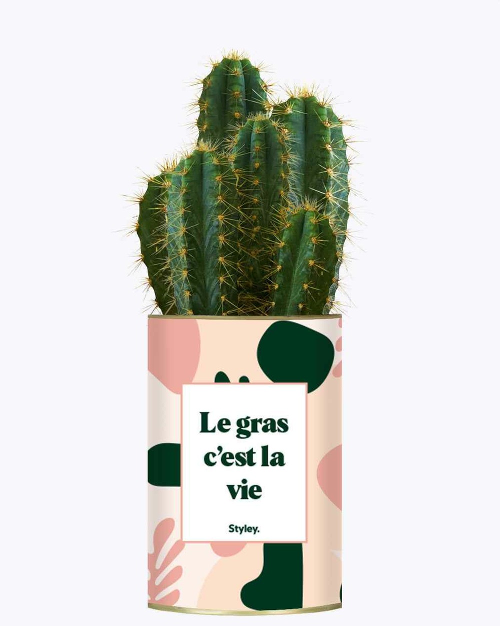 Idée cadeau - le gras c'est la vie - cactus