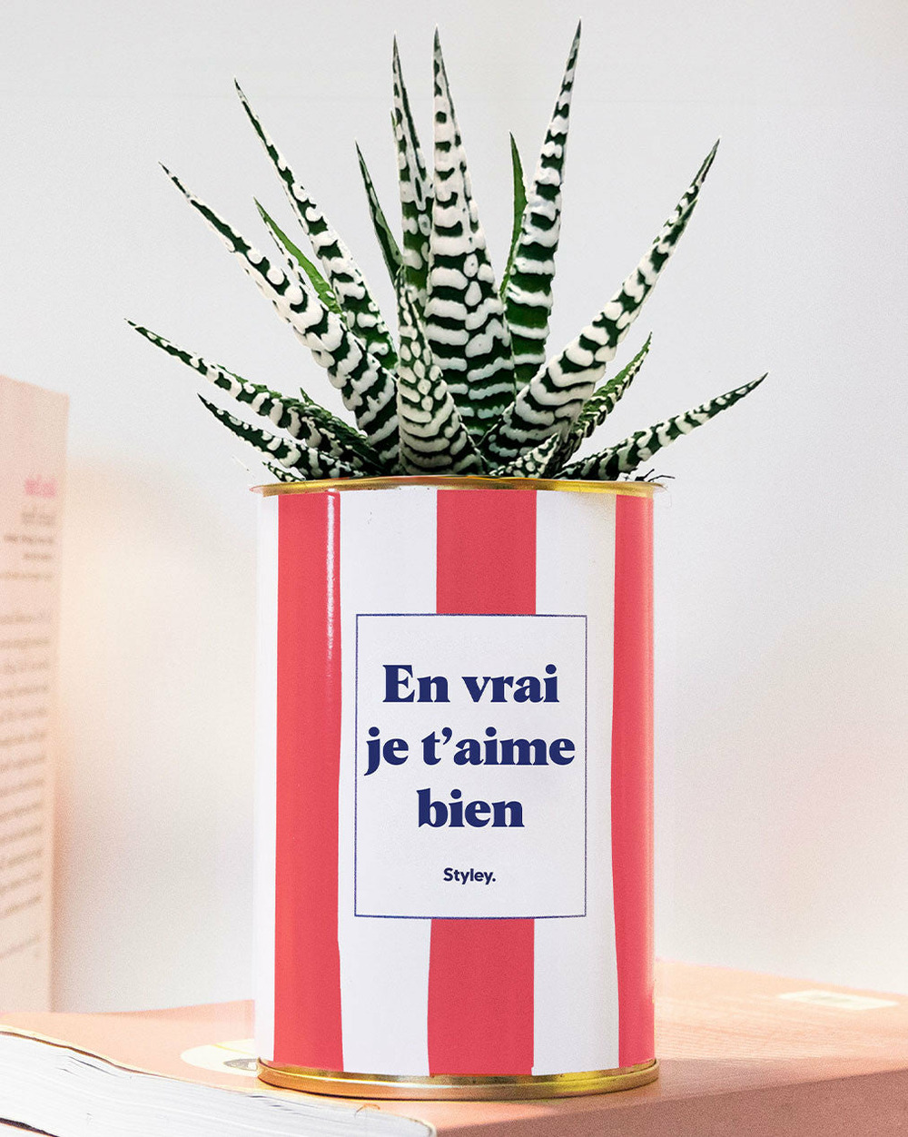 Idée cadeau - en vrai je t'aime bien - pot à rayures - plante grasse