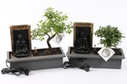 Set de 2 bonsaï avec système d'eau facile à entretenir et cascade sur la statue de bouddha - plante d'intérieur - hauteur 25-30cm