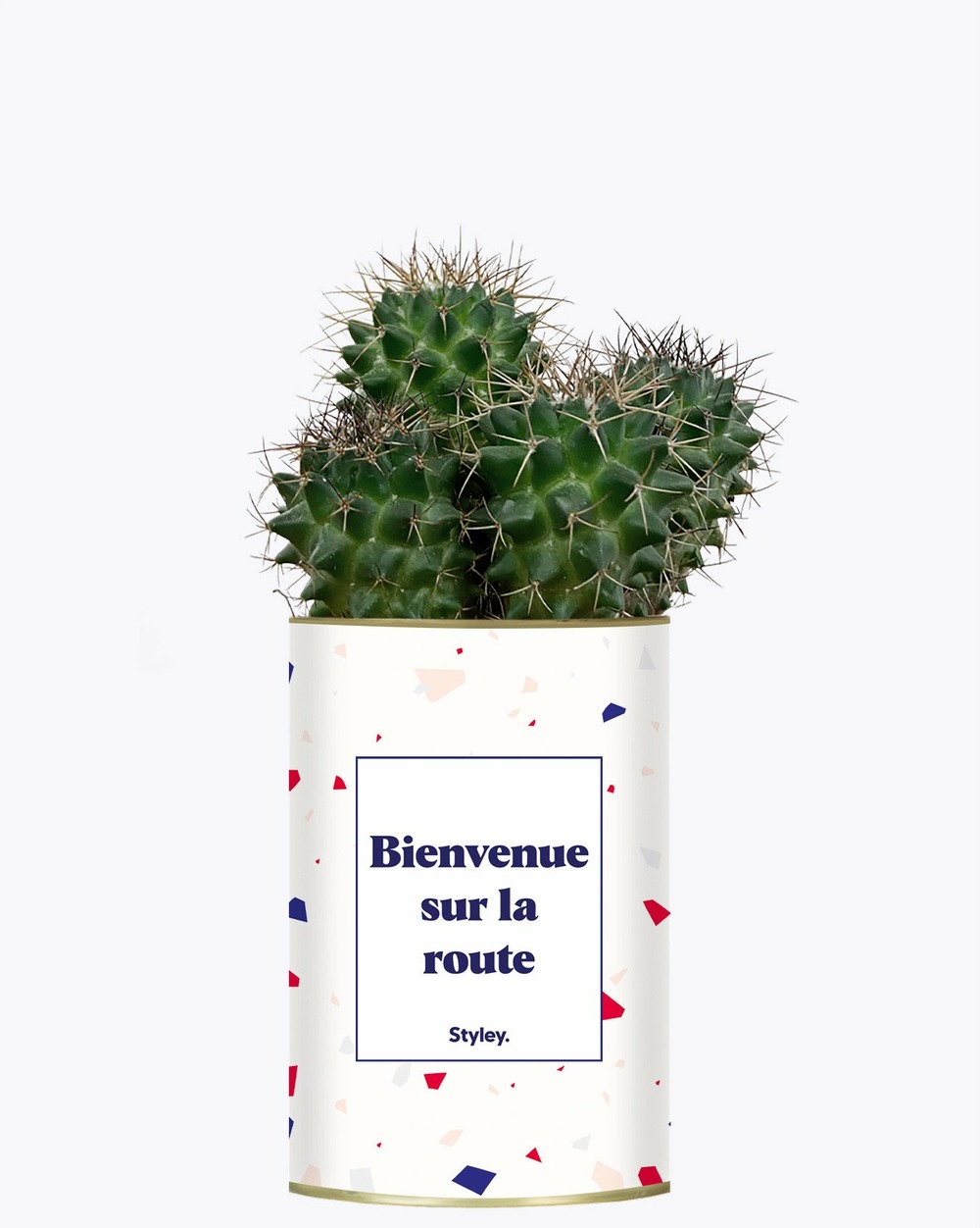 Idée cadeau - bienvenue sur la route - cactus