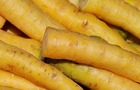 Sachet de graines de carotte jaune du doubs - sachet de 8 grammes - petite entreprise française