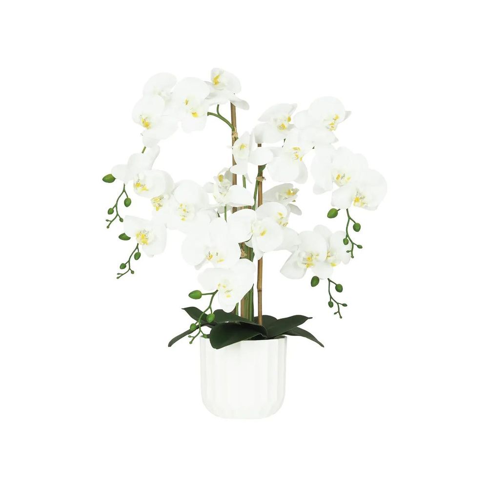 Orchidée artificielle toucher naturel 60cm