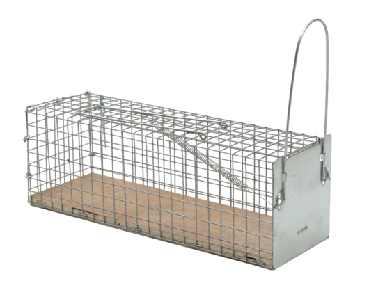 Carnassb- nasse à rat socle bois et grillage ultra resistant - réutilisable - intérieur et extérieur