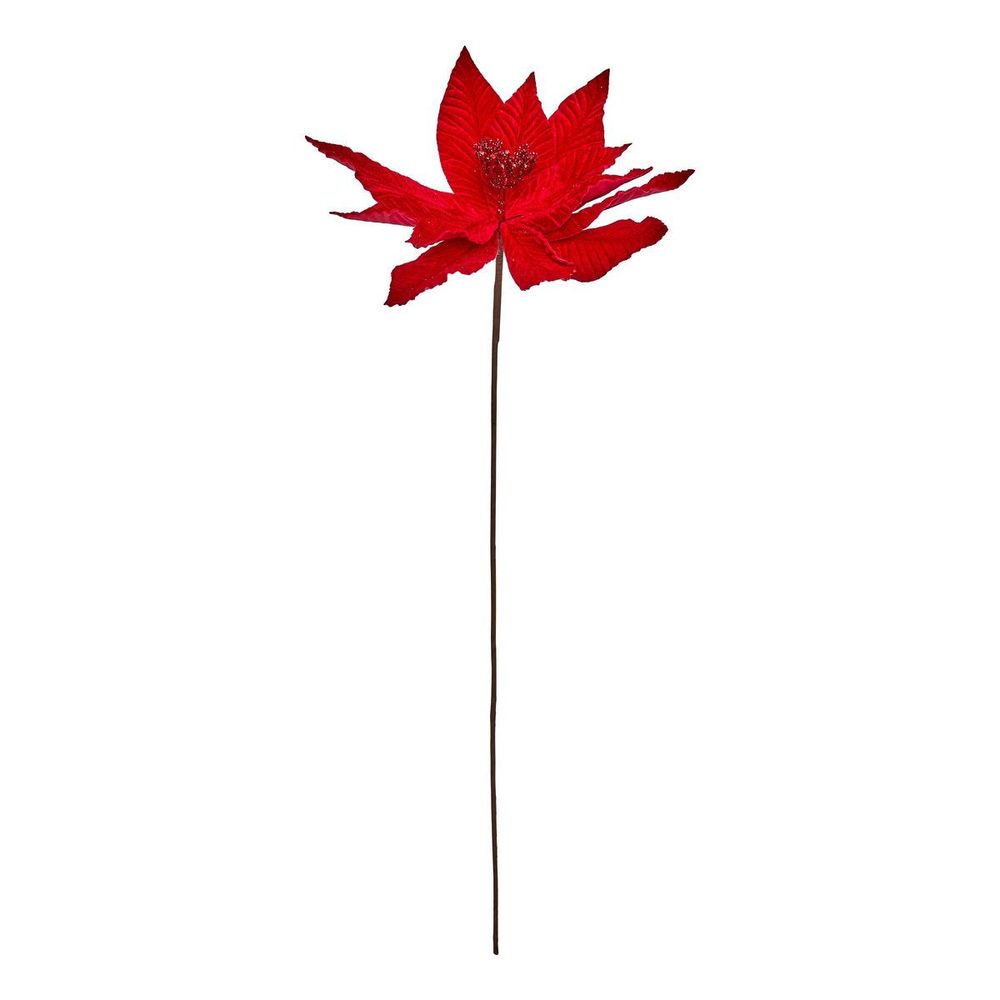 Bch poinsettia rouge h75