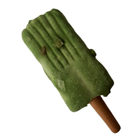 Snack friandise ice pop pomme vert 55 g pour chien