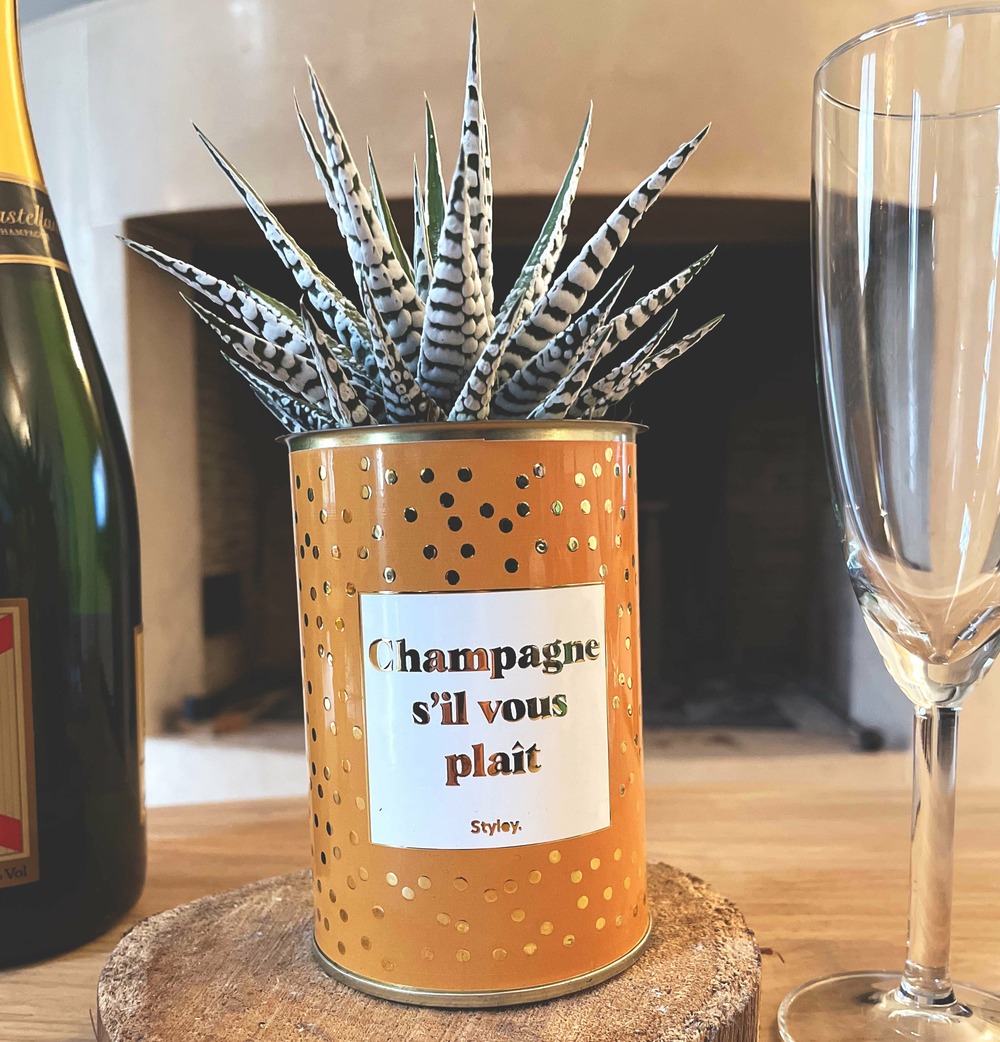 Idée cadeau - champagne s'il vous plaît - cactus - finitions gold