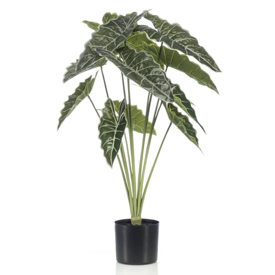 Alocasia artificiel en pot 80 cm