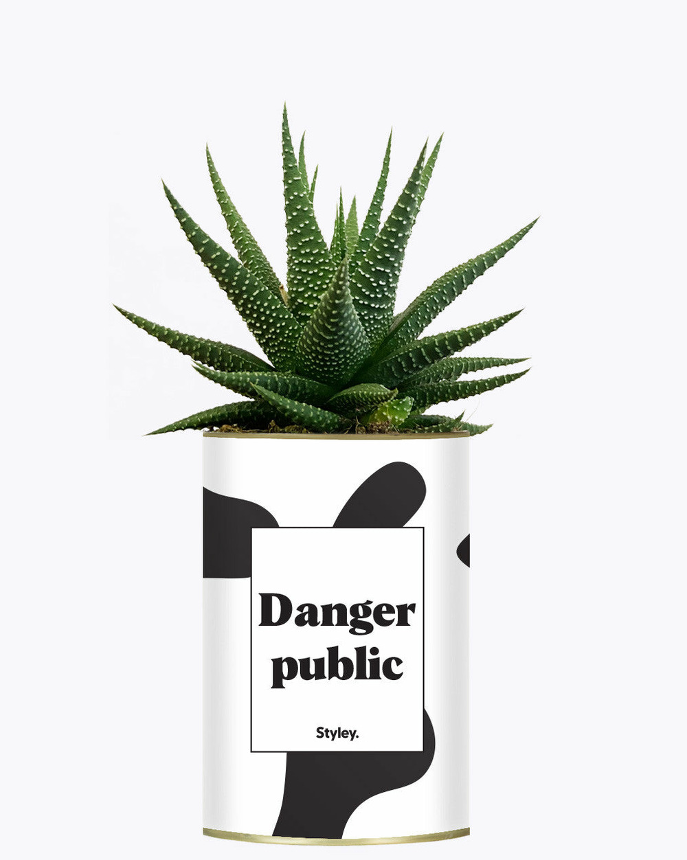 Plante personnalisée - danger public - cactus