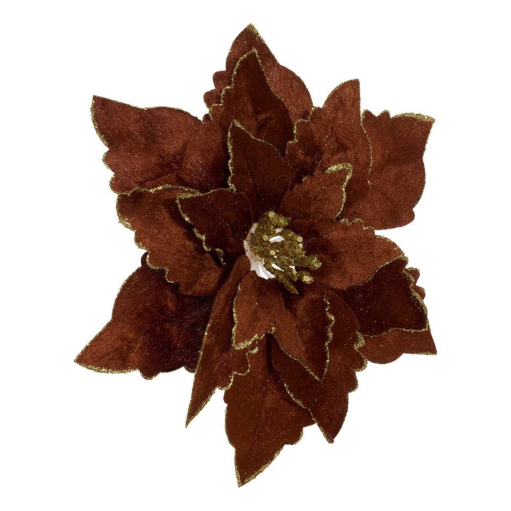 Sdn poinsettia cuivre vel 24cm