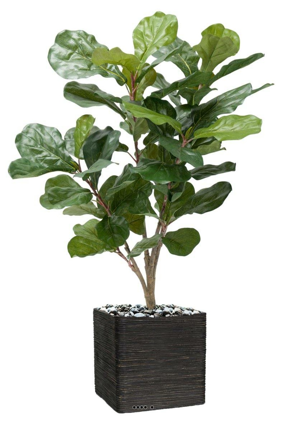 Ficus Lyrata Artificiel en pot, Figuier