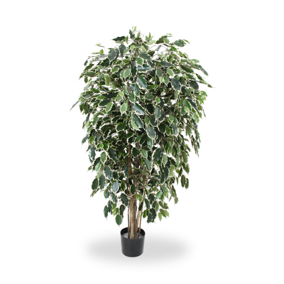 Ficus artificiel exotica deluxe de 150 cm panaché