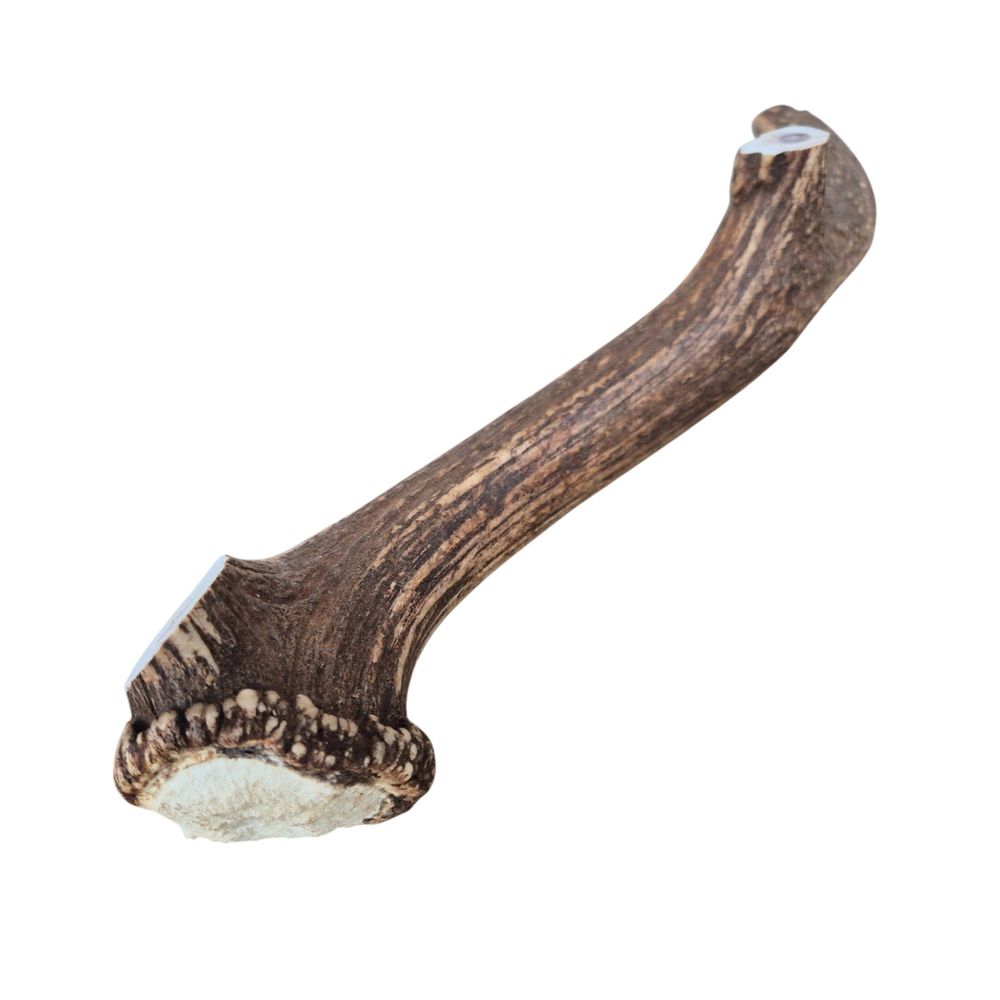 France croquettes bois de cerf à mâcher pour chien - 4xl entier (400 g et +, chien destructeur) - 1 pièce